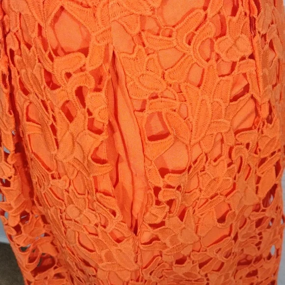 ENDLESS ROSE DRESS - Picture 6 of 12